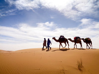 "Beduins across Sahara" Morocco, Africa