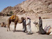 "Bedouins of Sinai" Egypt, Africa