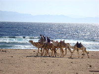 "Bedouins by Red Sea" Egypt, Africa