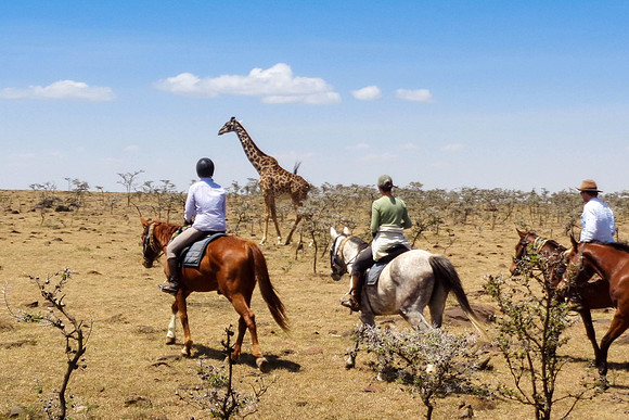 "African Riding Safari"