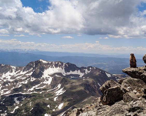 "On Top of the World"  (Marmot - North Arapahoe Peak, Colorado)