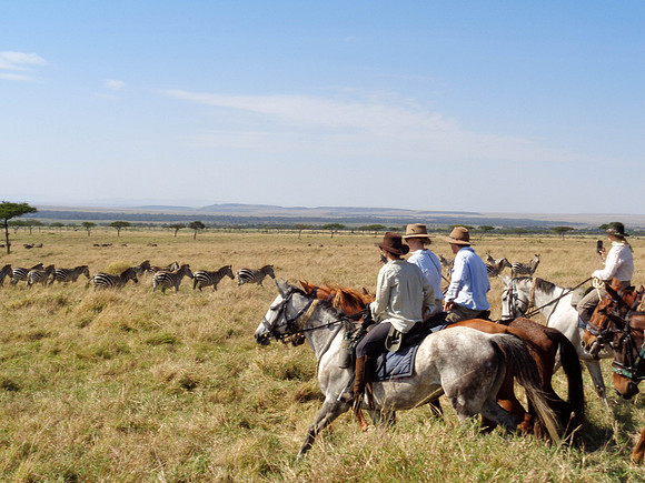 "African Riding Safari"